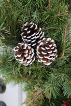 Load image into Gallery viewer, Winter Evergreen 24&quot;