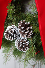 Load image into Gallery viewer, Celebrate Christmas 24”