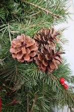 Load image into Gallery viewer, Celebrate Christmas 24”