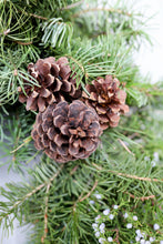 Load image into Gallery viewer, Winter Evergreen 32&quot;