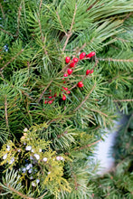 Load image into Gallery viewer, Winter Evergreen 24&quot;